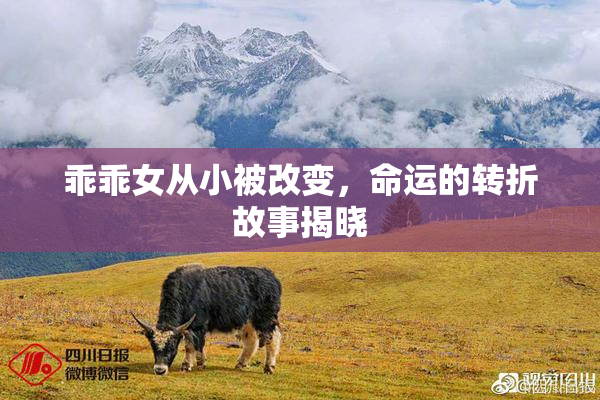 乖乖女从小被改变，命运的转折故事揭晓