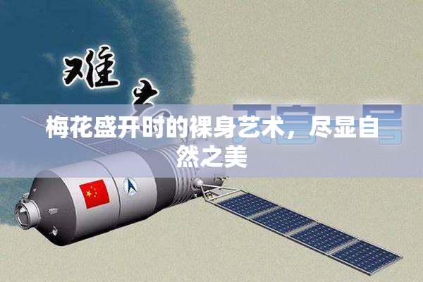 梅花盛开时的裸身艺术，尽显自然之美