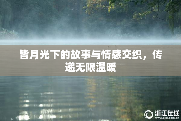 皆月光下的故事与情感交织，传递无限温暖