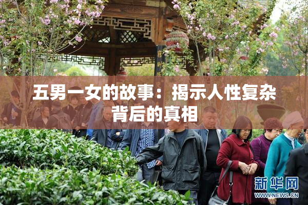五男一女的故事：揭示人性复杂背后的真相