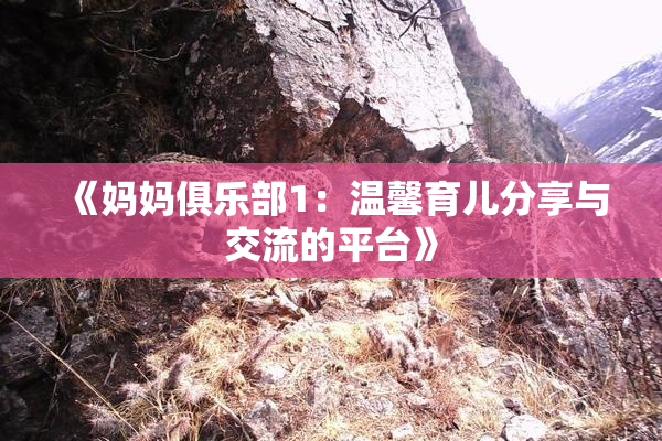《妈妈俱乐部1：温馨育儿分享与交流的平台》