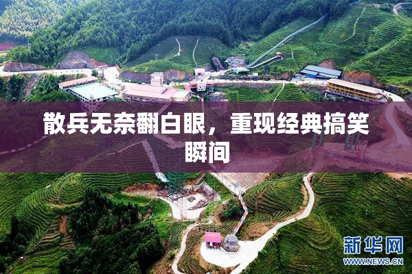 散兵无奈翻白眼，重现经典搞笑瞬间