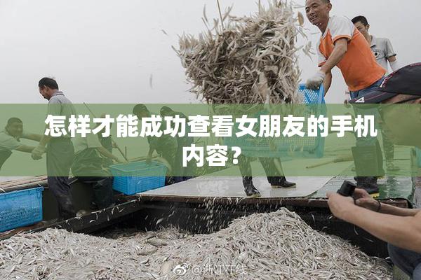 怎样才能成功查看女朋友的手机内容？