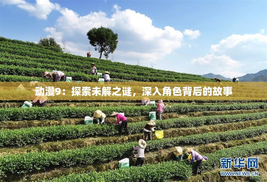 动漫9：探索未解之谜，深入角色背后的故事