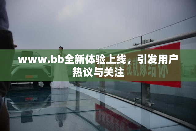 www.bb全新体验上线，引发用户热议与关注