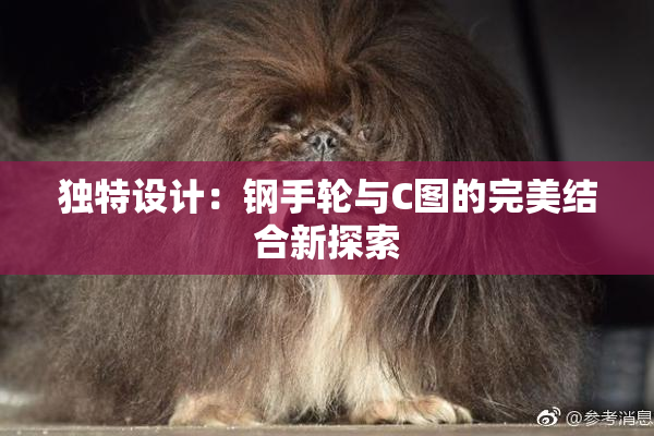 独特设计：钢手轮与C图的完美结合新探索