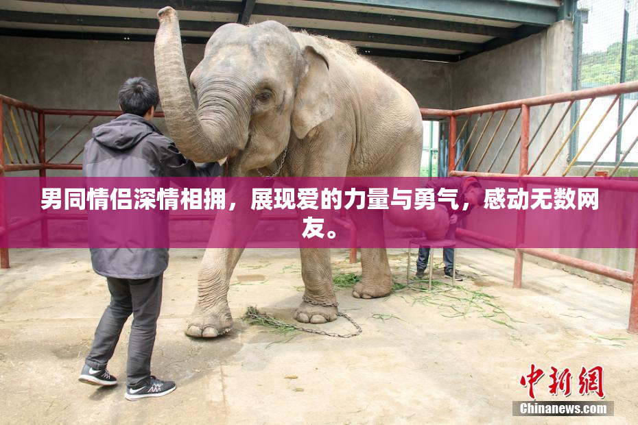 男同情侣深情相拥，展现爱的力量与勇气，感动无数网友。