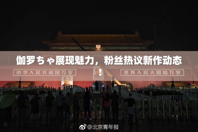 伽罗ちゃ展现魅力，粉丝热议新作动态！