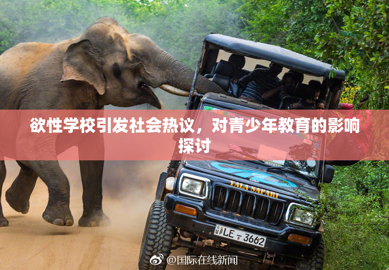 欲性学校引发社会热议，对青少年教育的影响探讨