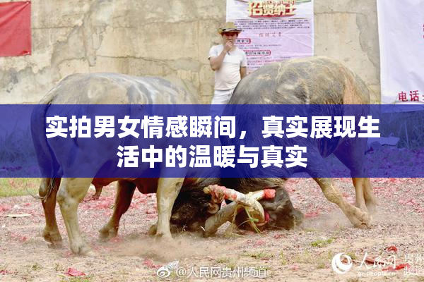 实拍男女情感瞬间，真实展现生活中的温暖与真实