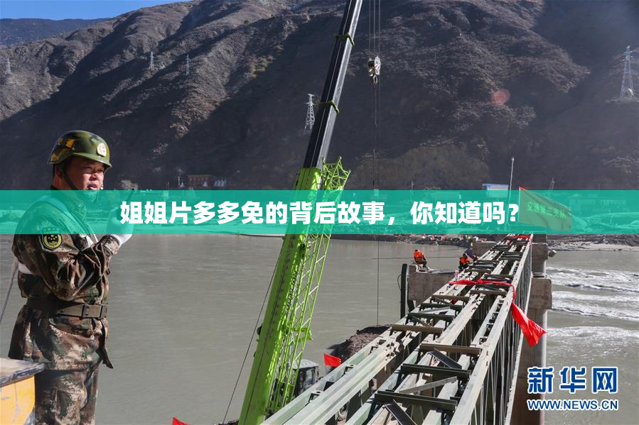 姐姐片多多免的背后故事，你知道吗？
