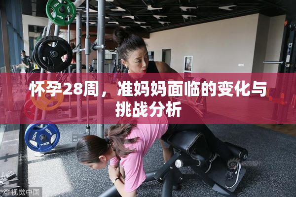 怀孕28周，准妈妈面临的变化与挑战分析
