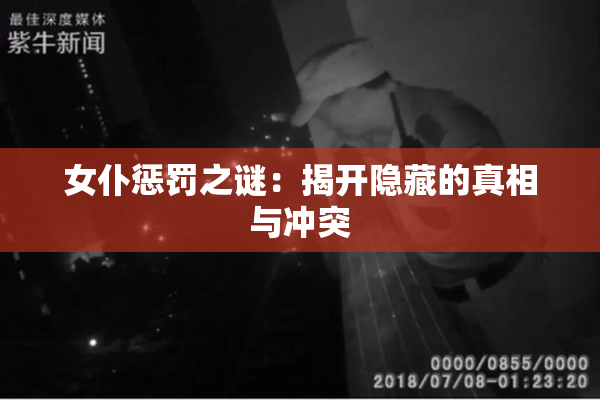 女仆惩罚之谜：揭开隐藏的真相与冲突