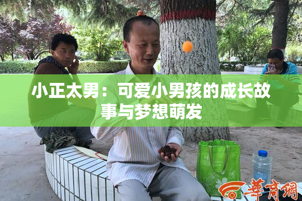 小正太男：可爱小男孩的成长故事与梦想萌发