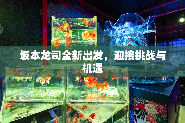 坂本龙司全新出发，迎接挑战与机遇
