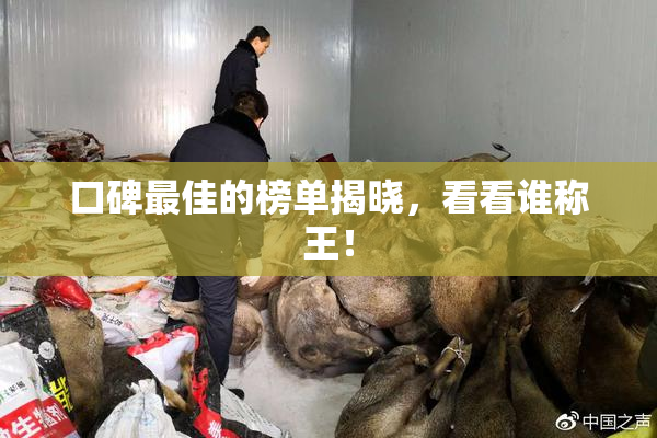 口碑最佳的榜单揭晓，看看谁称王！