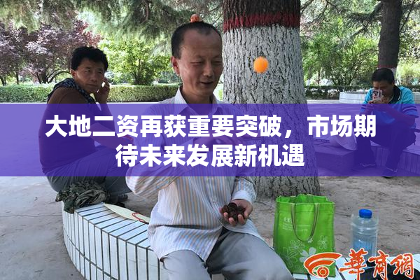 大地二资再获重要突破，市场期待未来发展新机遇