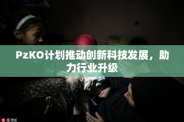 PzKO计划推动创新科技发展，助力行业升级