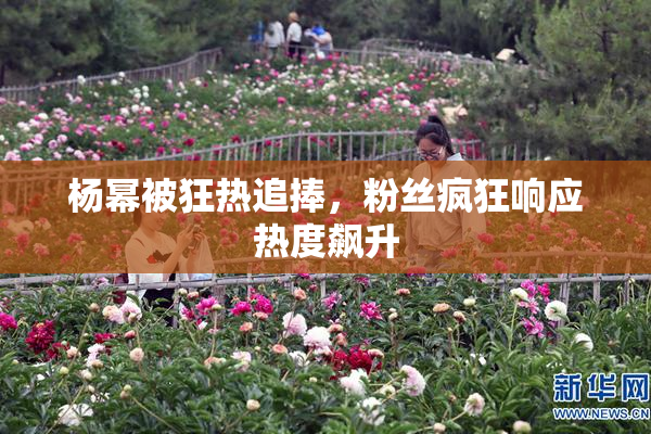杨幂被狂热追捧，粉丝疯狂响应热度飙升