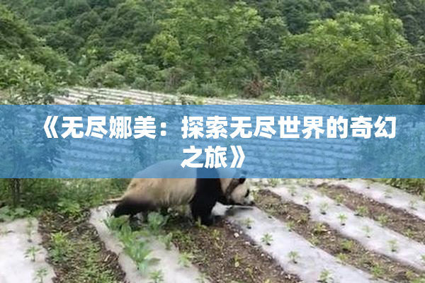 《无尽娜美：探索无尽世界的奇幻之旅》