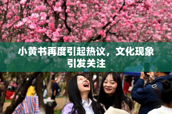 小黄书再度引起热议，文化现象引发关注