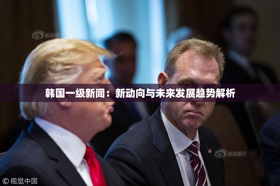 韩国一级新闻：新动向与未来发展趋势解析