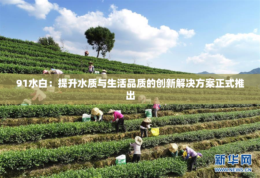 91水白：提升水质与生活品质的创新解决方案正式推出