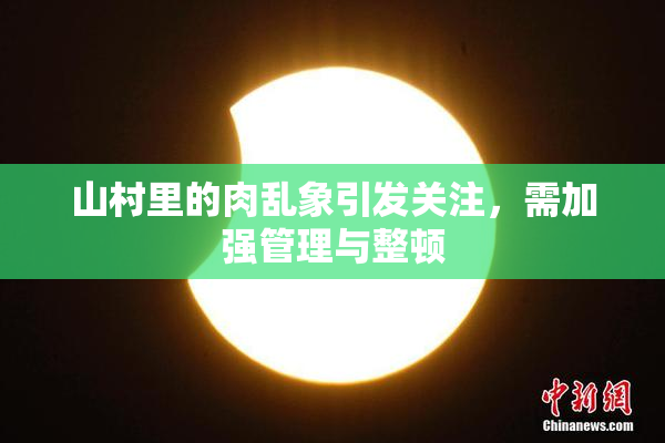 山村里的肉乱象引发关注，需加强管理与整顿