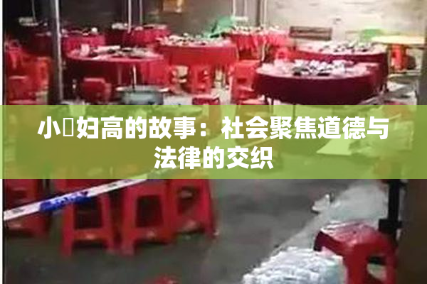 小婬妇高的故事：社会聚焦道德与法律的交织