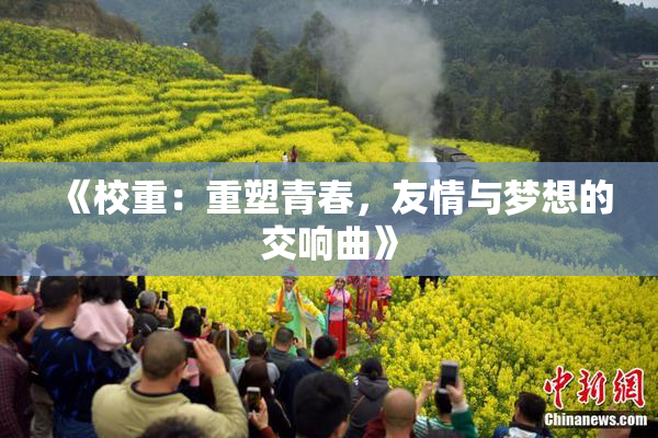 《校重：重塑青春，友情与梦想的交响曲》