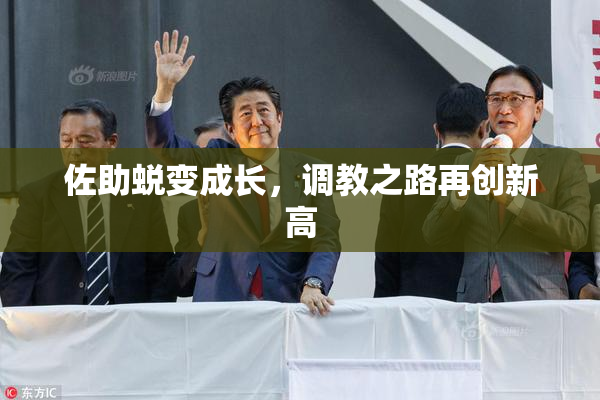佐助蜕变成长，调教之路再创新高