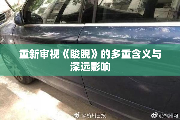 重新审视《睃睨》的多重含义与深远影响