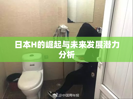 日本H的崛起与未来发展潜力分析