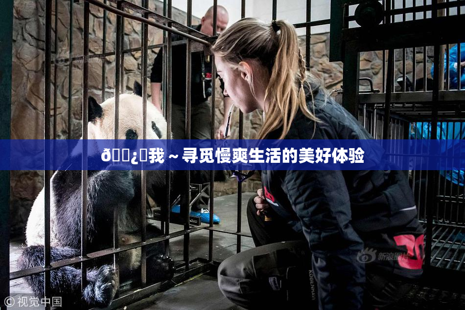 🌿‌我～寻觅慢爽生活的美好体验
