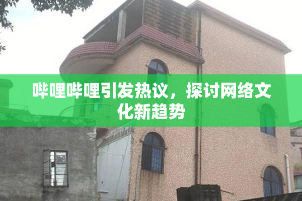 哔哩哔哩引发热议，探讨网络文化新趋势