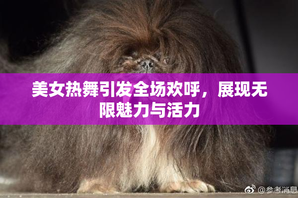 美女热舞引发全场欢呼，展现无限魅力与活力
