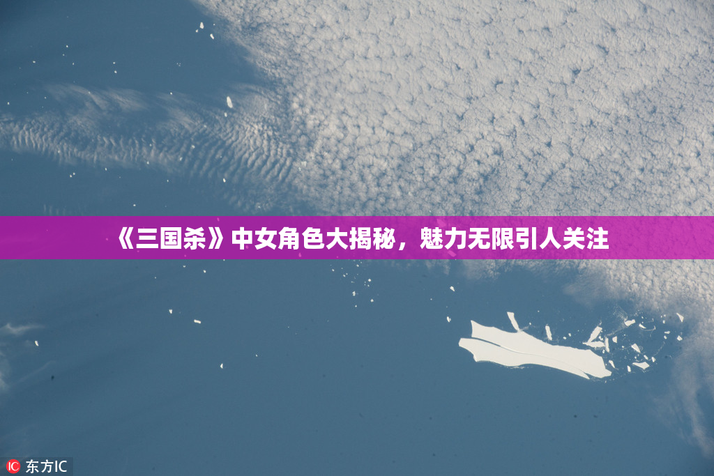 《三国杀》中女角色大揭秘，魅力无限引人关注