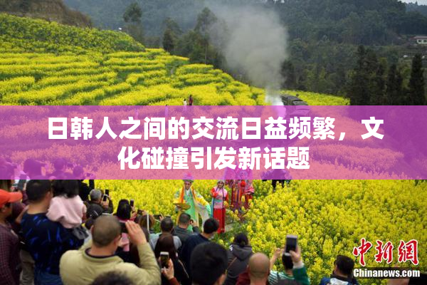 日韩人之间的交流日益频繁，文化碰撞引发新话题