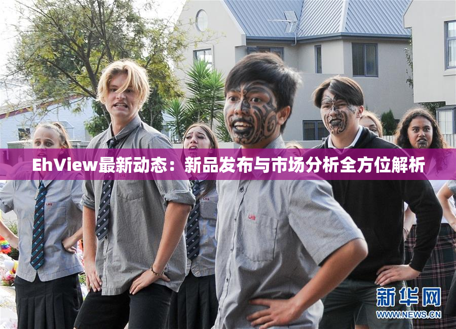 EhView最新动态：新品发布与市场分析全方位解析
