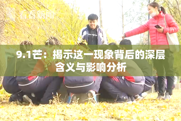 9.1芒：揭示这一现象背后的深层含义与影响分析