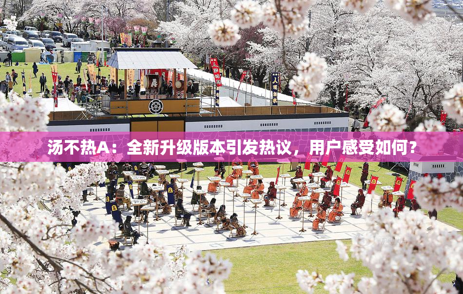 汤不热A：全新升级版本引发热议，用户感受如何？