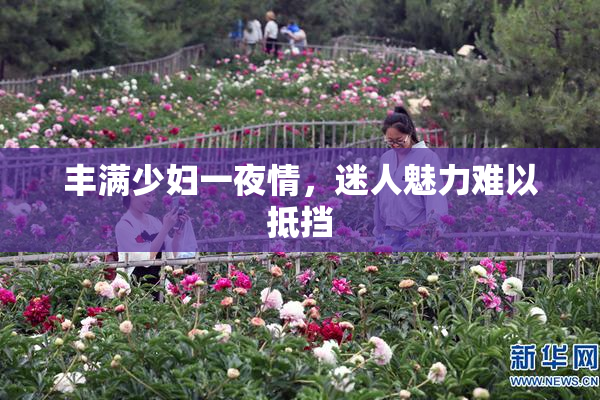 丰满少妇一夜情，迷人魅力难以抵挡