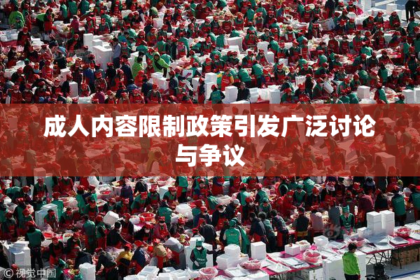 成人内容限制政策引发广泛讨论与争议