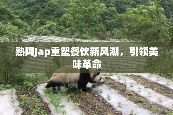 熟阿Jap重塑餐饮新风潮，引领美味革命