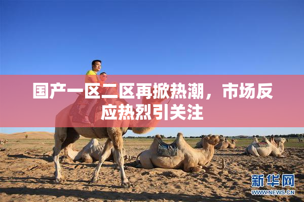 国产一区二区再掀热潮，市场反应热烈引关注