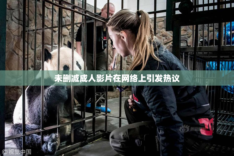 未删减成人影片在网络上引发热议