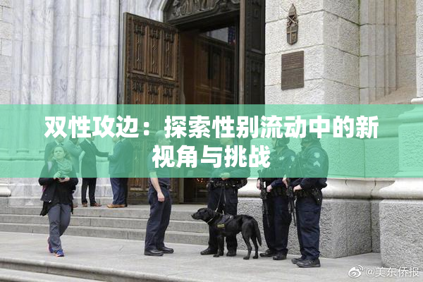 双性攻边：探索性别流动中的新视角与挑战