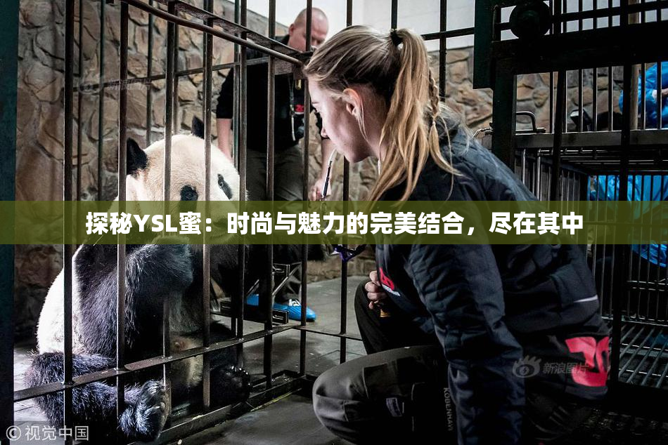 探秘YSL蜜：时尚与魅力的完美结合，尽在其中