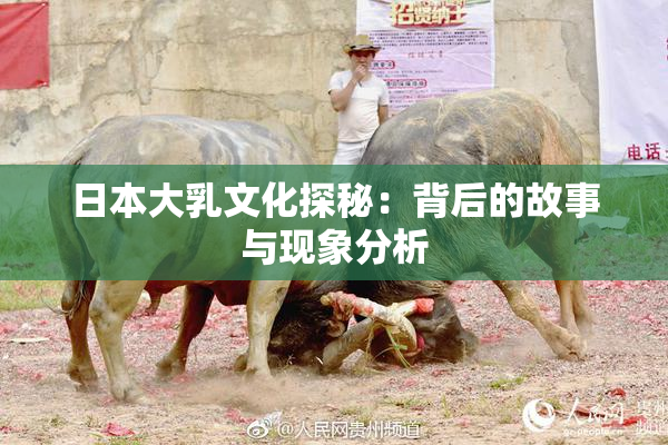 日本大乳文化探秘：背后的故事与现象分析