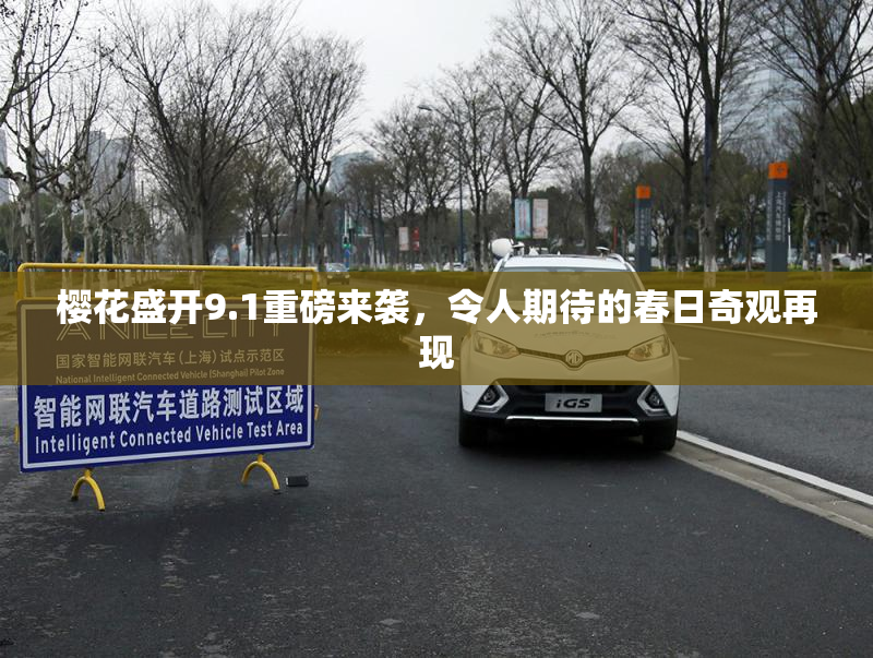 樱花盛开9.1重磅来袭，令人期待的春日奇观再现